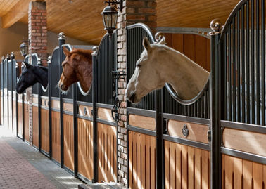داخلی جامد اروپا اسب استثنایی 12 فوت طول 220cm ارتفاع